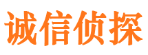 盐津市侦探调查公司